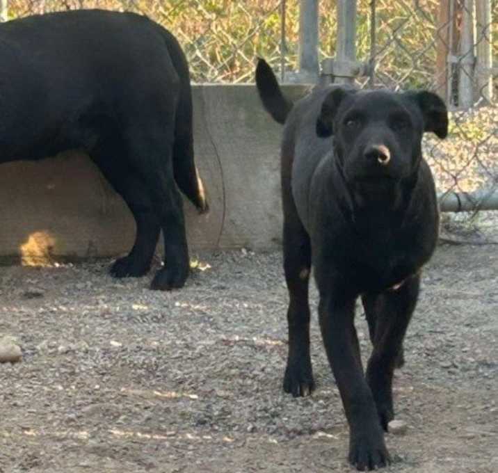 Photo of Scooter