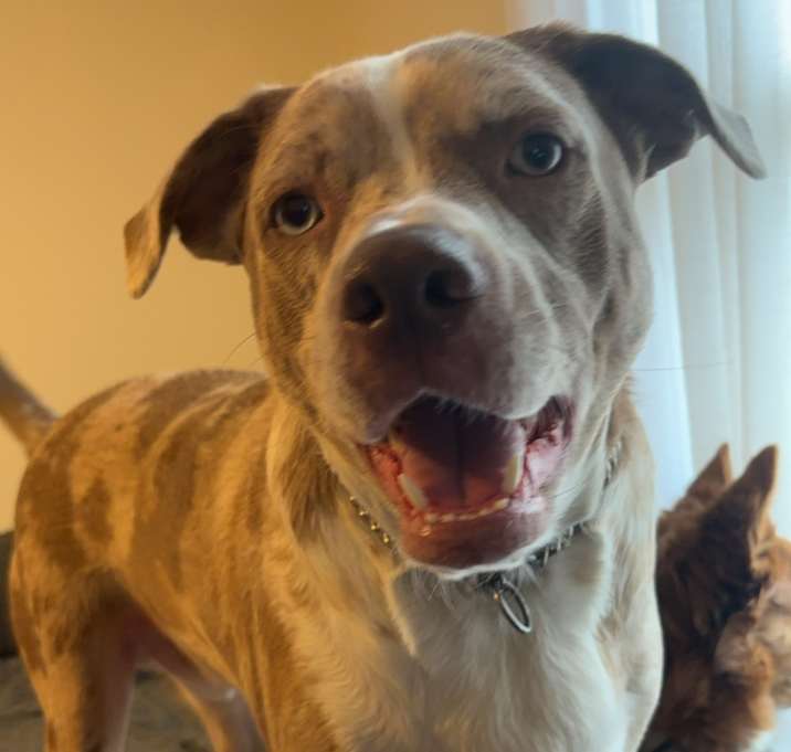 Photo of Moomoo