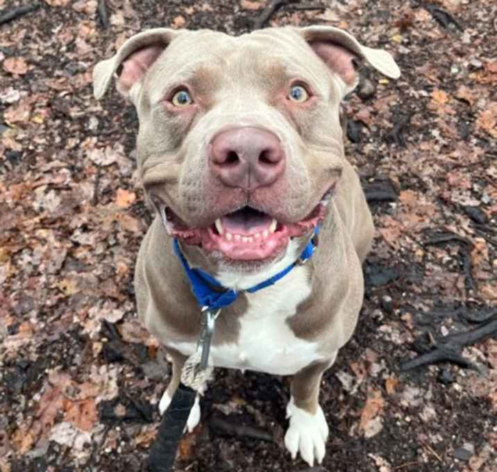 Photo of Rex