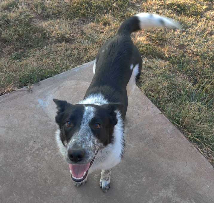 Photo of Sammie Jo