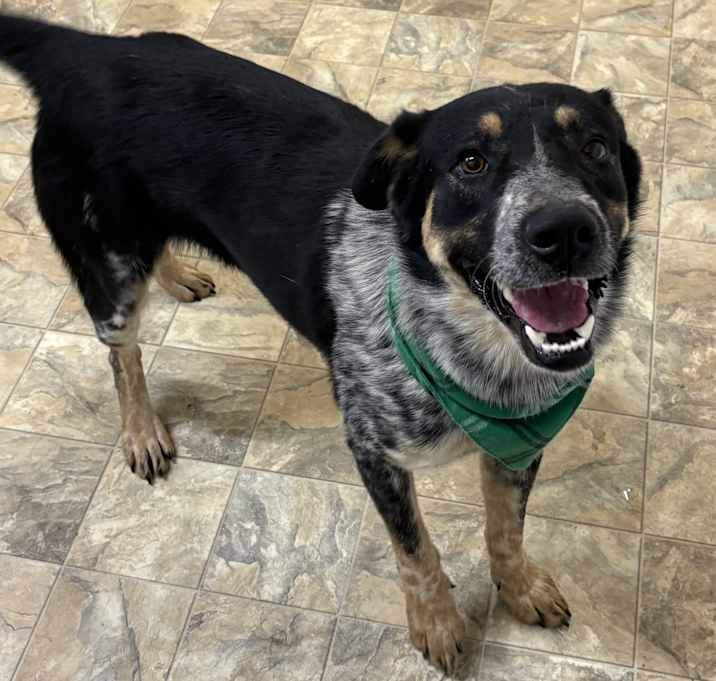 Photo of Braxton