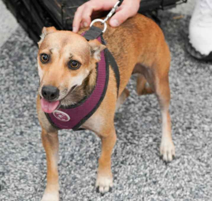 Photo of Sheila