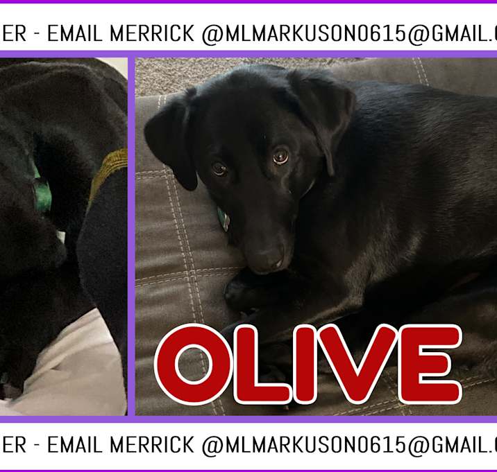 Photo of Olive-COURTESY LISTING