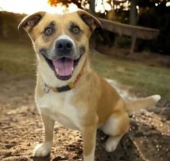 Photo of MAX