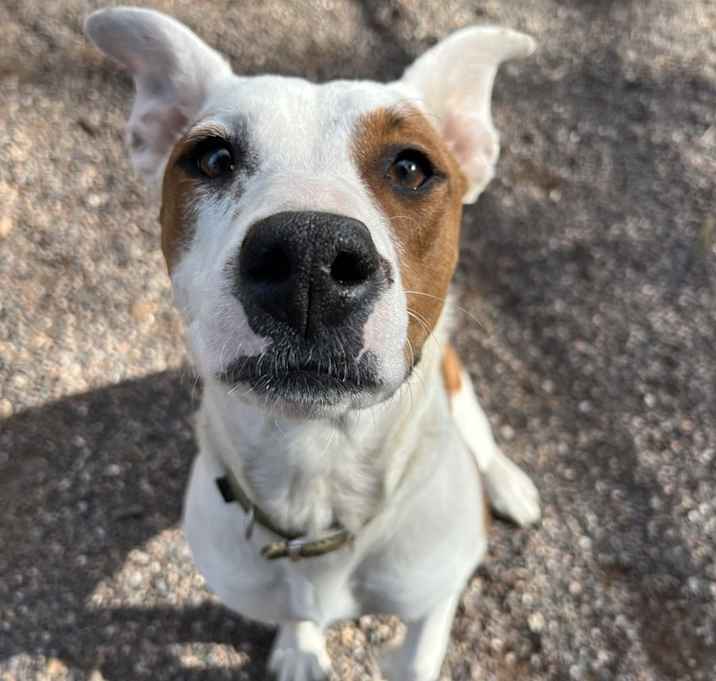 Photo of Hattie