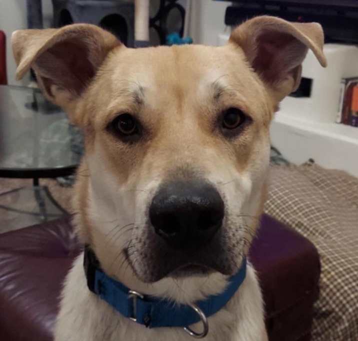 Photo of Charlie
