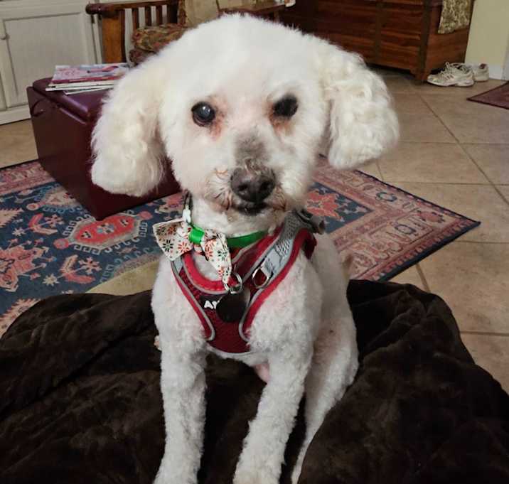 Photo of Lina