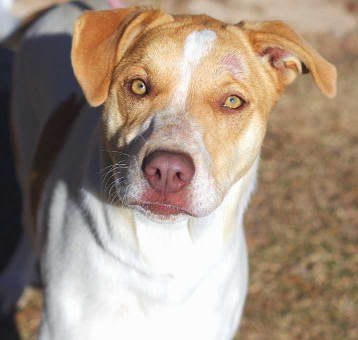 Photo of Sasha