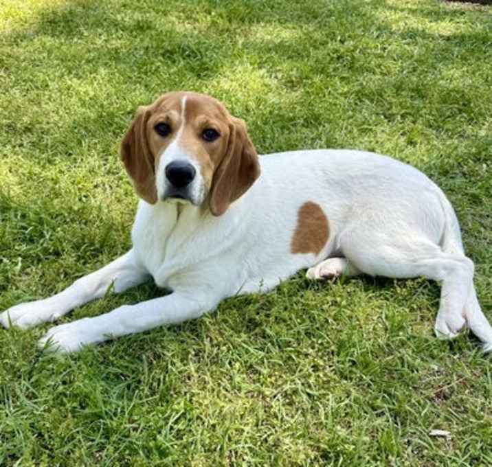 Photo of Dottie