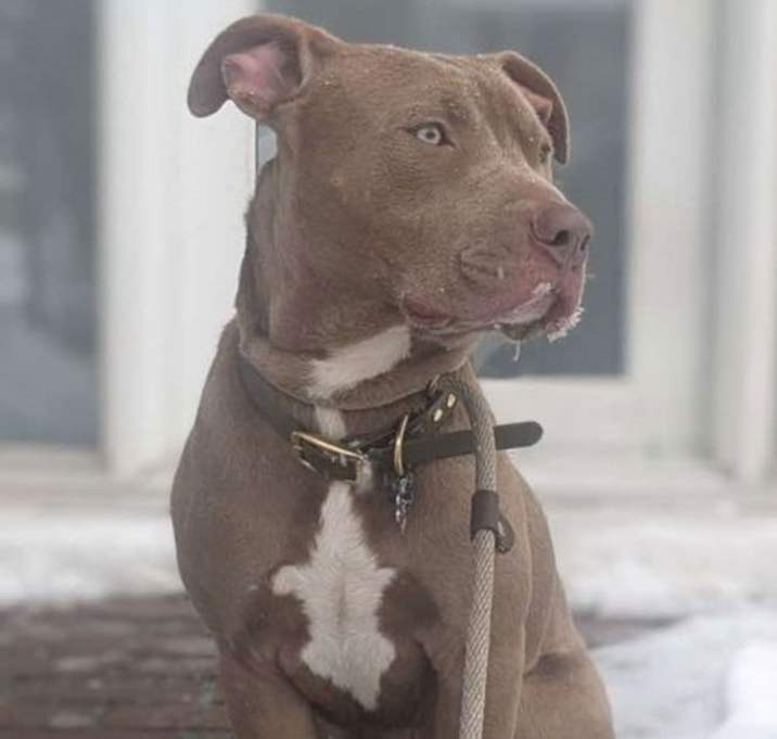 Photo of Taz