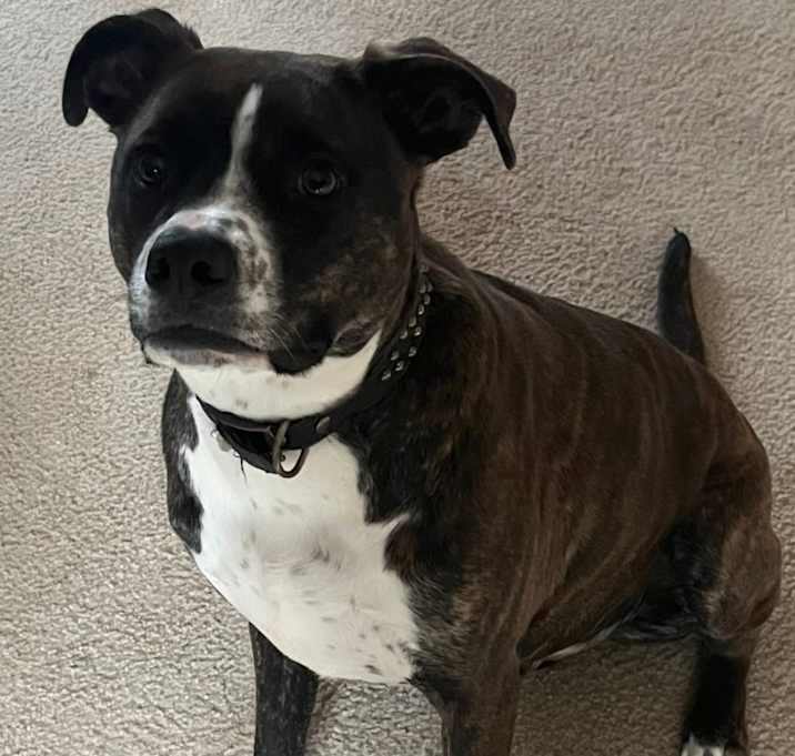 Photo of Bobby
