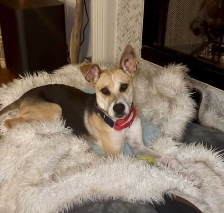 Photo of Maverick