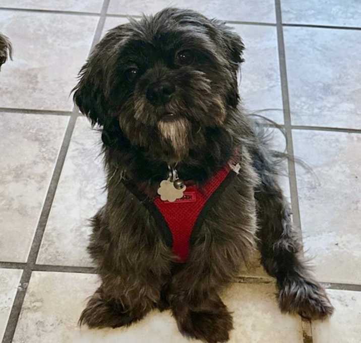 Photo of Charlie