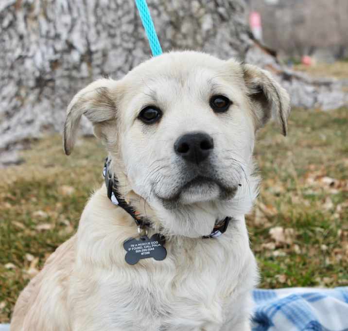 Photo of Iceman