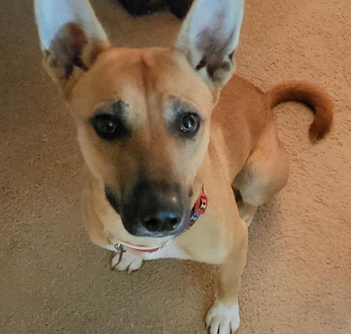 Photo of Missy