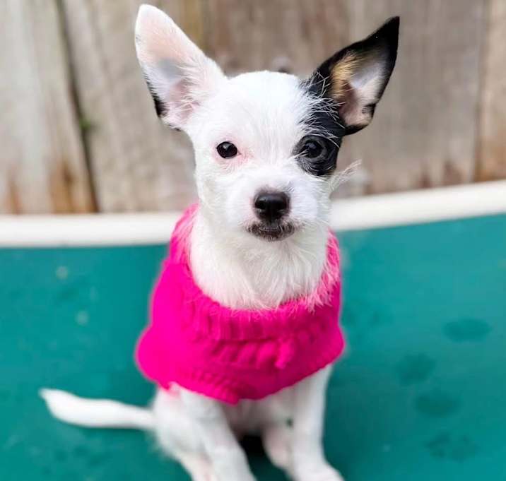 Photo of Betty