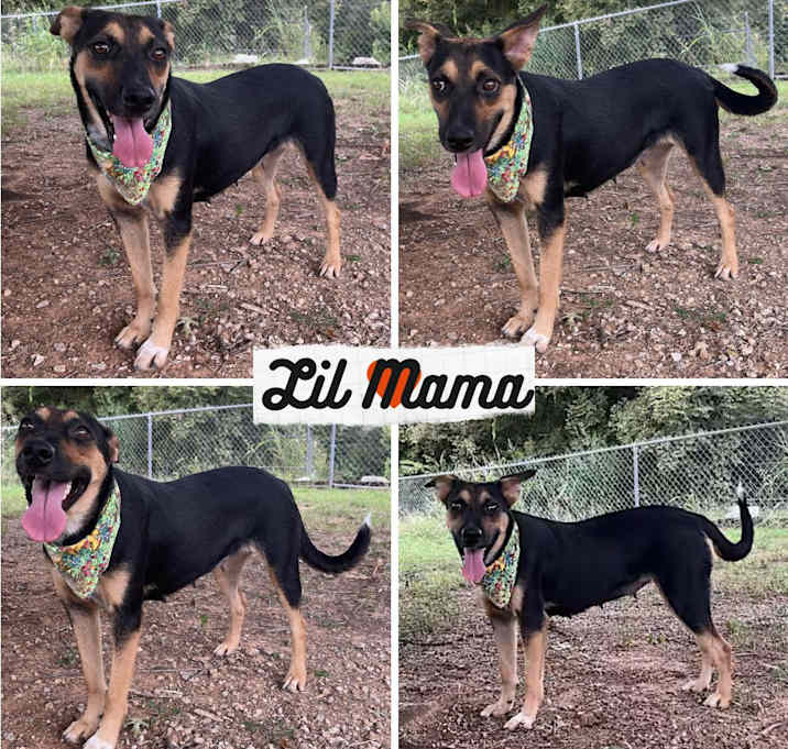 Photo of Lil Mama
