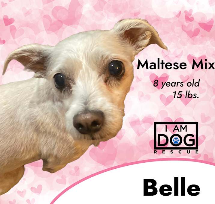 Photo of Belle