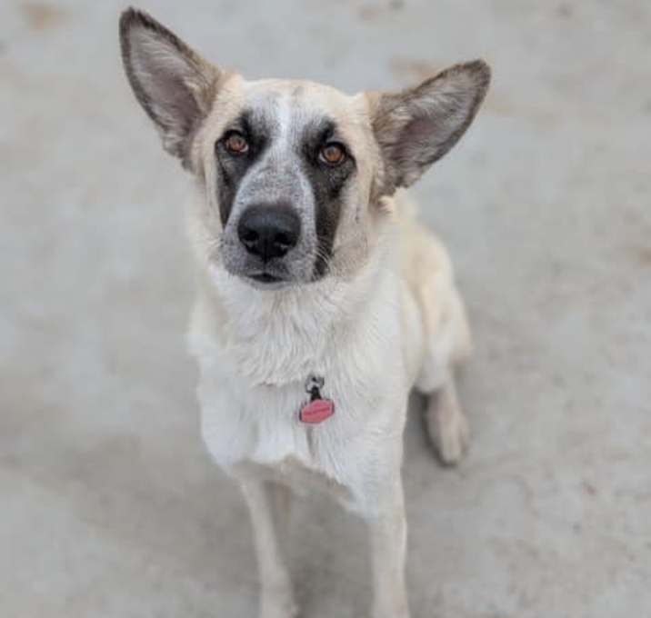 Photo of Freya