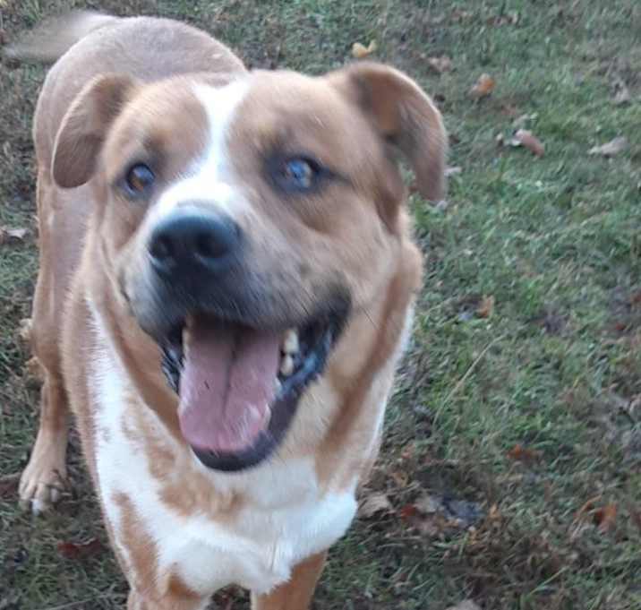 Photo of Harvey