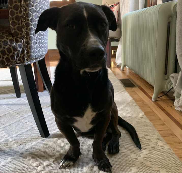 Photo of Lulu