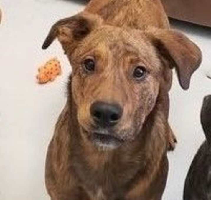 Photo of Waylon *P
