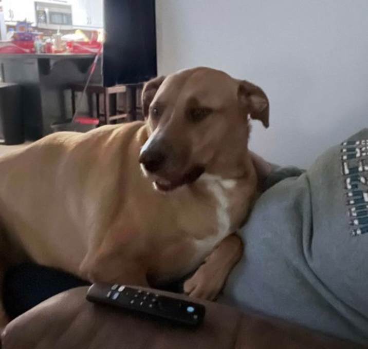 Photo of Hazel