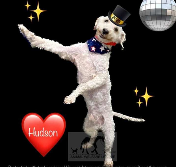 Photo of HUDSON