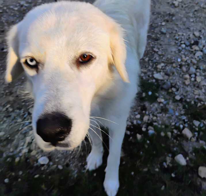 Photo of PEARL