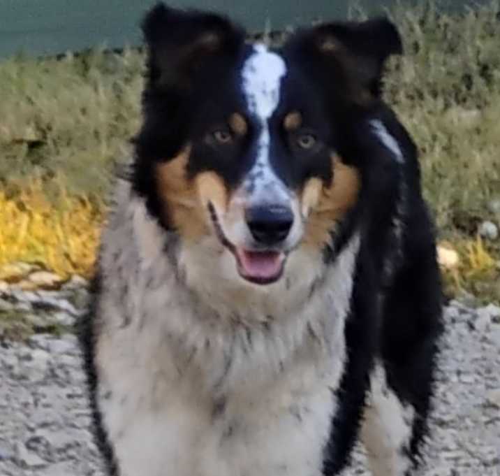 Photo of SALLIE