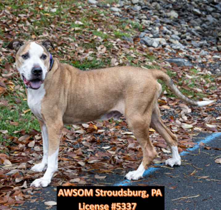 Photo of Duke