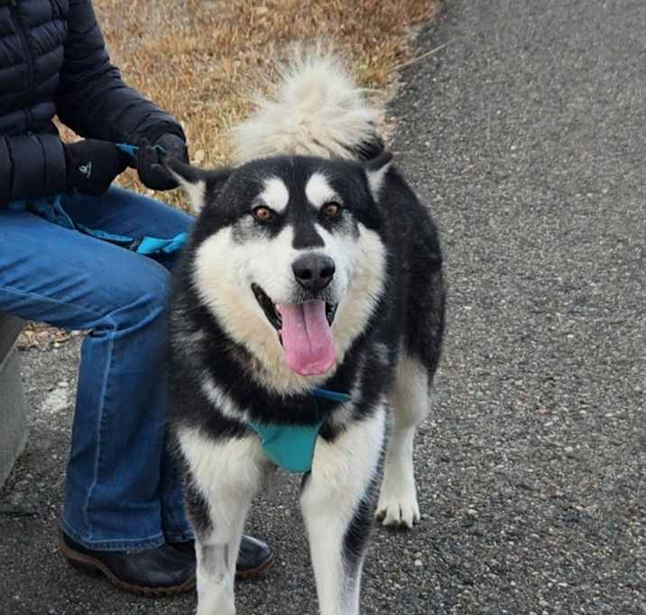 Photo of Fenris