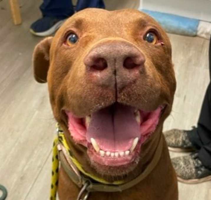 Photo of Whiskey