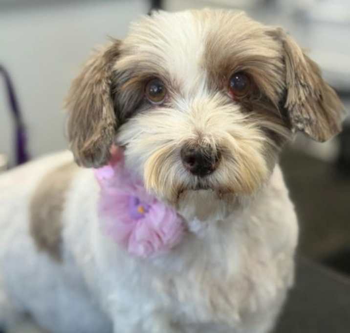 Photo of Macie