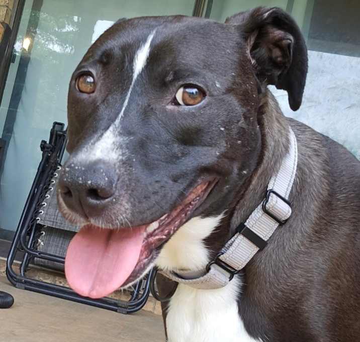 Photo of Frannie