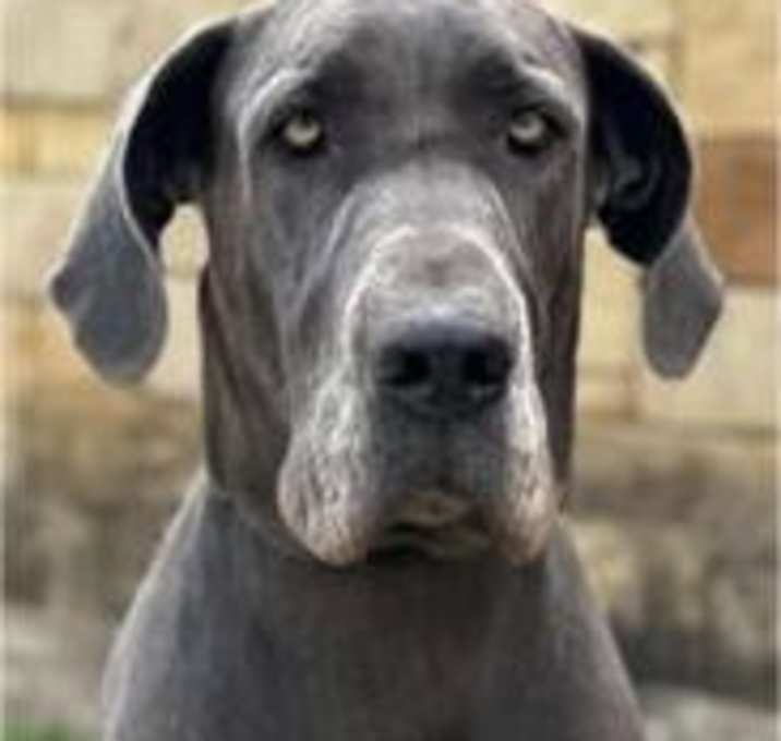 Photo of Stormy