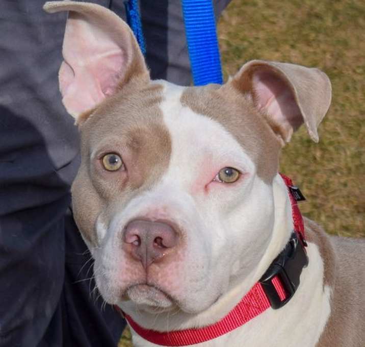 Photo of Hollis