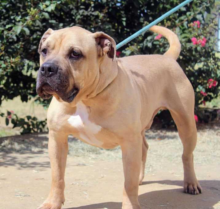 Photo of Huck