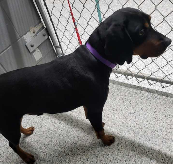Photo of Monty