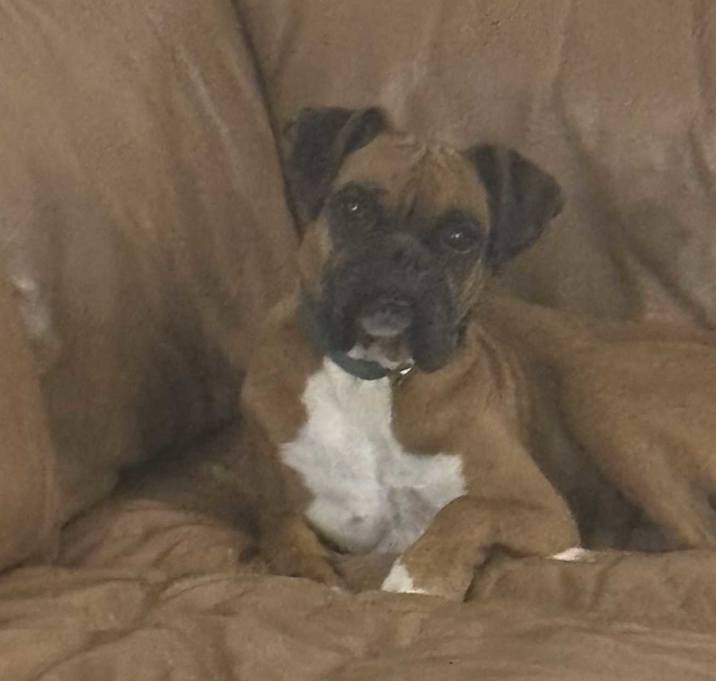 Photo of Lola