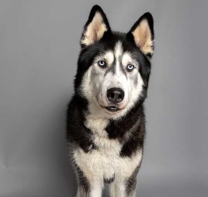Photo of THOR