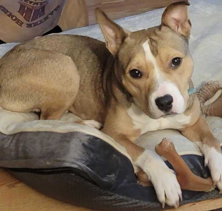Photo of Gus