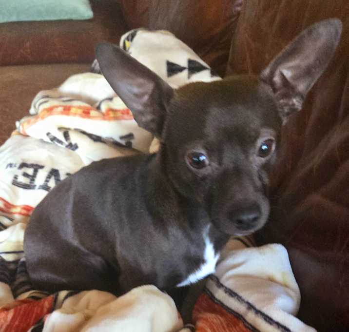 Photo of Nutty Buddy