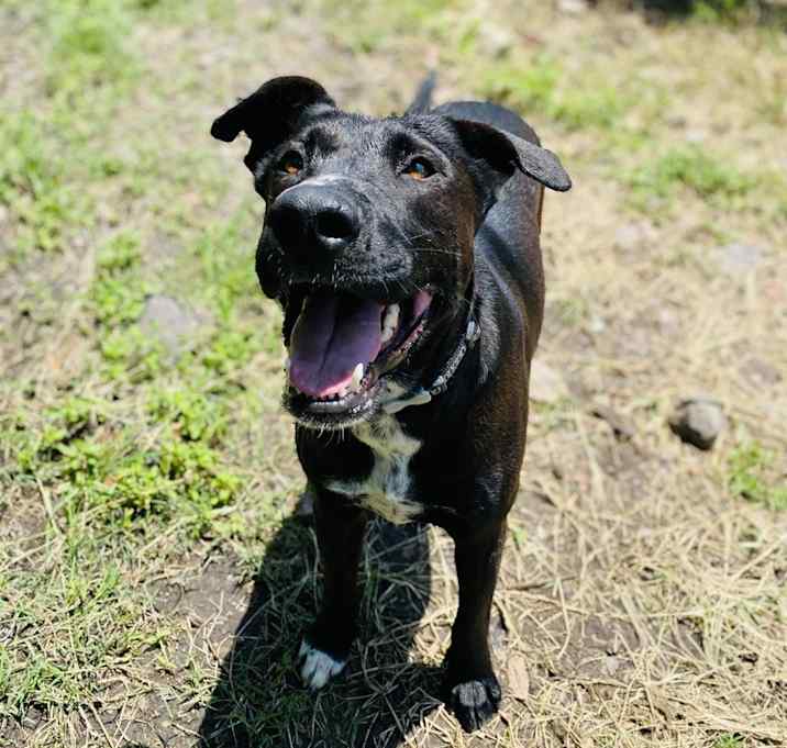 Photo of Nero