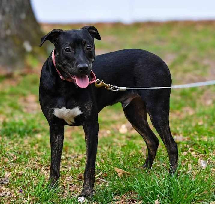 Photo of Spike
