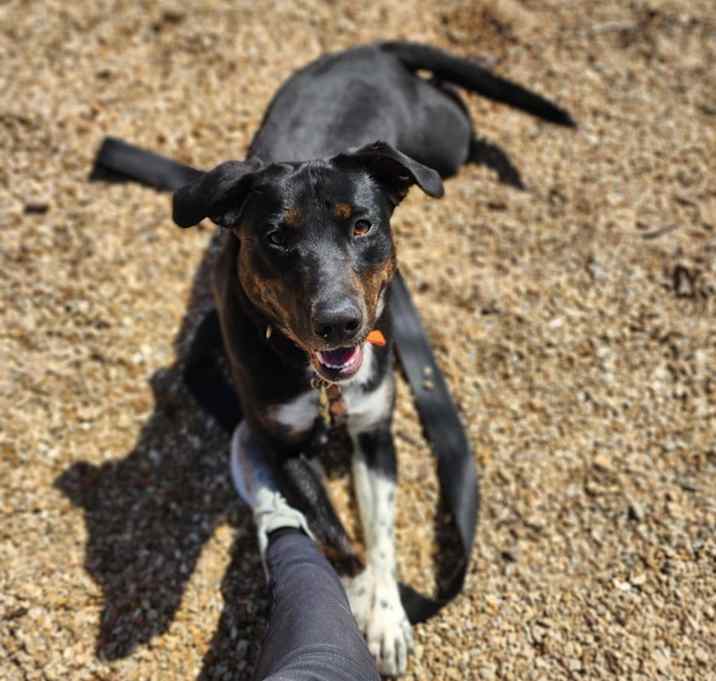 Photo of Mable