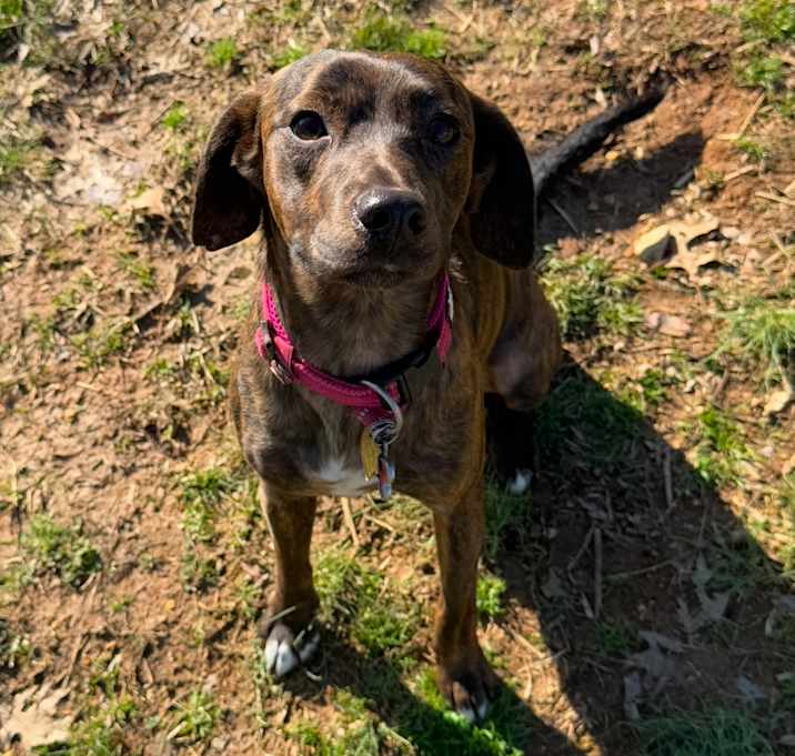 Photo of Annabelle