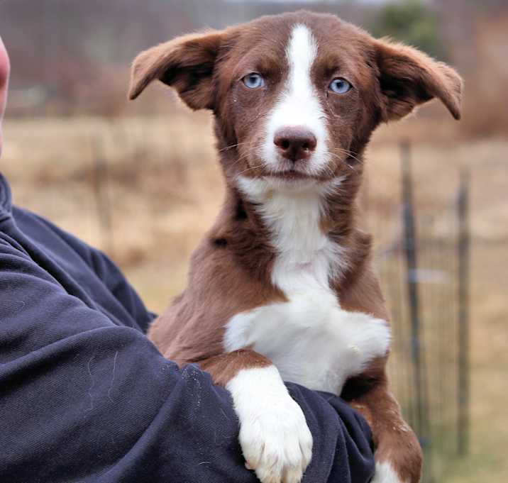 Photo of Bobble