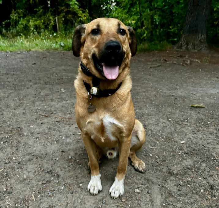 Photo of Lucas