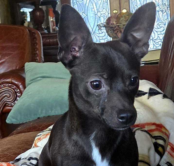 Photo of Nutty Buddy